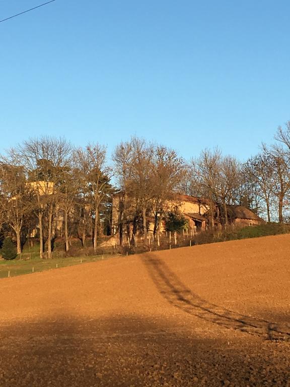 Вилла Agriturismo Cascina Nuova Валенца Экстерьер фото